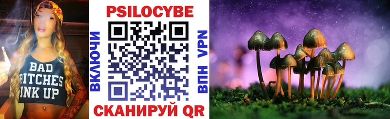 Галлюциногенные грибы Psilocybine cubensis  Бакал 